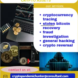 DIGITAL ASSETS RECOVERY TEAM // CRYPTO PANDEMIC HUNTER