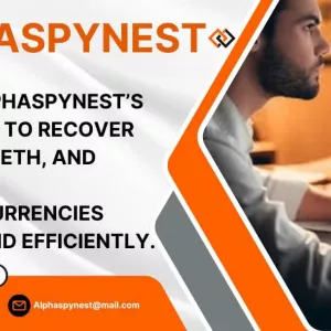 HIRE ALPHA SPY NEST EXPERTS TO HELP RETRIEVE ALL YOUR LOST ASSETS: A STORY OF REDEMPTION AND RESILIENCE.