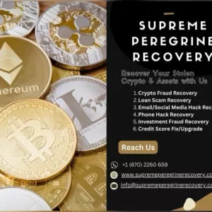 Recovery of lost USDT from fraudulent investment platform experience.