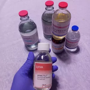 ORDER NEMBUTAL ONLINE