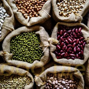 Продаж. Посівмат квасолі. Насіння квасолі. В асортименті