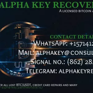 CONSULT A LICENSED BTC / USDT RECOVERY HACKER - ALPHA KEY