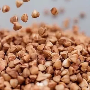 Зерно гречки, гречиха оптом