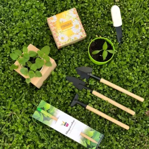 Квітучі олівці з логотипом. Друк на олівцях