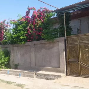 Продаю дом  в Кахрамоне 10 комнат 5 сот 