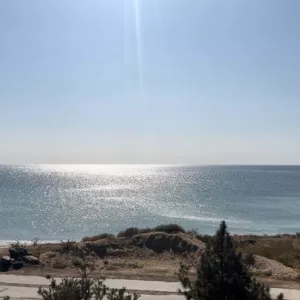 Лучший участок по лучшей цене в элитном коттеджном посёлке «Сосновый Берег»