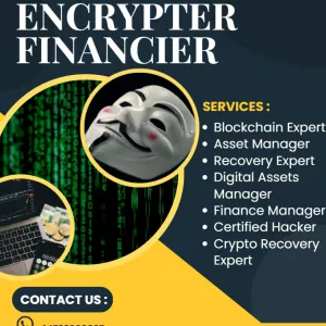 Navigating Digital Assets Recovery-Maestro Encrypter Financier Proven Approach