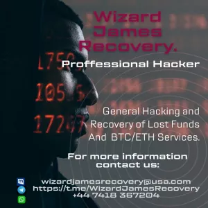 MY CRYPTO RECOVERY EXPERIENCE WITH WIZARD JAMES RECOVERY