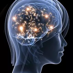 Афазии. Дефектолог Онлайн