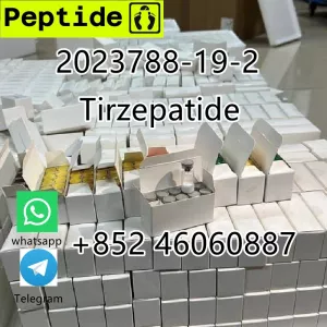 Tirzepatide weight loss Peptide a1 in Large Stock