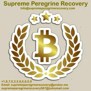 I lost access to my Ethereum Wallet. Contact: Supreme Peregrine Recovery.