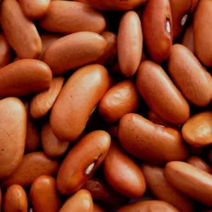 Продаж гуртом. Квасоля сортова, сертифікована