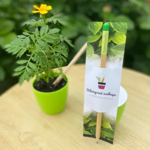 Корпоративні подарунки для агентств нерухомості