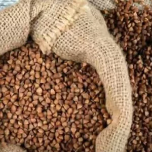 Гречка гуртом. Якість. Обсяги. Поставка