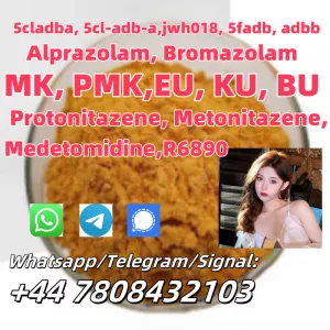 CAS 119276-01-6 High quantity cheap price in stock