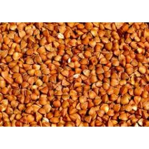 Гречка оптом. Постійна наявність