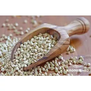 Гречка. Гуртова реалізація зерна від виробника