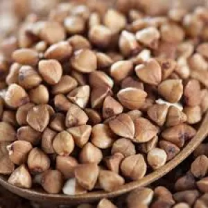 Продаж гречки гуртом. Промислові партії