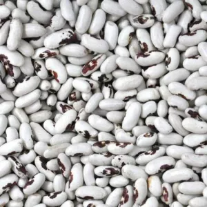 Продаж сортової квасолі оптом