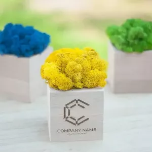Промо-сувеніри. Кашпо зі стабілізованим мохом