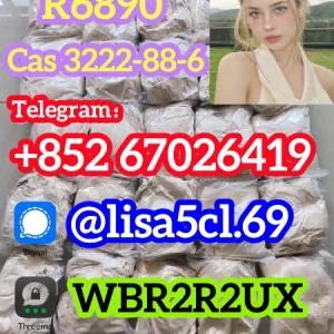 R6890 cas:3222-88-6 Metonitazene 14680-51-4 home delivery