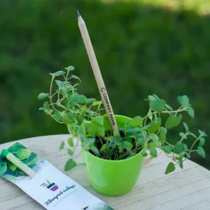 Корпоративні подарунки для IT компаній.