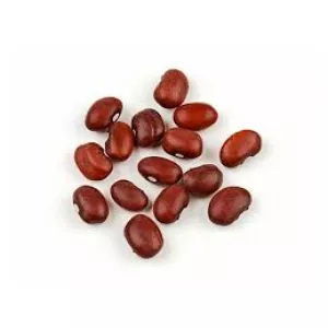 Великий вибір сортової квасолі — гуртові поставки по Україні