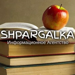 Разработка стартапа для ВКР на заказ в Украине