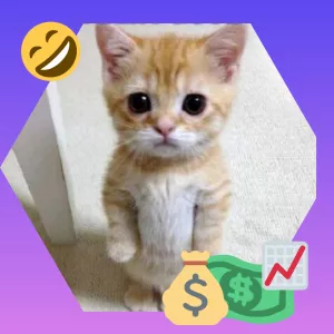 Заработок на мемах и коротких юмористических изображениях