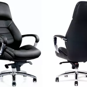 Качественное кресло руководителя Status F181 BL с доставкой