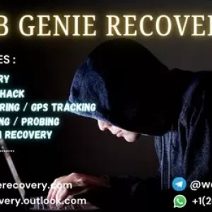 CAN I RECOVER MY CRYPTO FROM A LOST WALLET/ FORGOTEN PASSWORD OR FROM SCAM ?