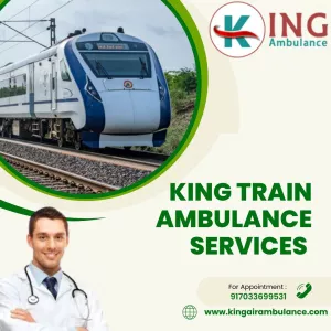King Ensures Each Patient Receives Attention in Bangalore in its Ambulance