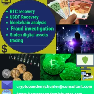 HOW TO RECOVER STOLEN DIGITAL FUNDS // CRYPTO PANDEMIC HUNTER