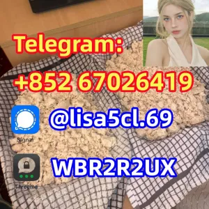 Hot CAS 119276-01-6 Protonitazene (hydrochloride)