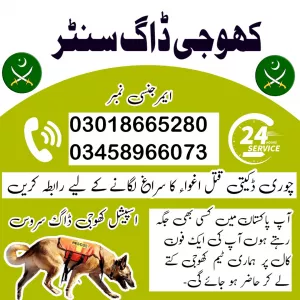 Army Dog Center Attock 03009195279 | Khoji Dogs In Attock Contact Number