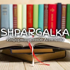 Разработка стартапа для дипломной работы на заказ в Украине