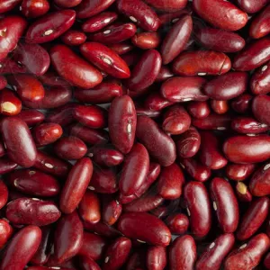 Квасоля гуртом без посередників