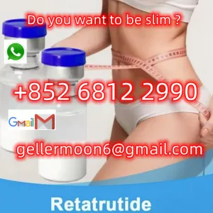 China Lose Weight Peptides Retatrutide CAS 2381089-83-2 Manufacturers Factory