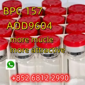 Best quality cas 137525-51-0 BPC-157 AOD