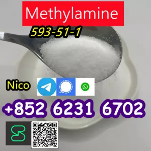 how to buy Hot sales CAS 593-51-1 Methylamine HCl with good quality