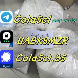 5c5c55c5c sfdwegfwgh