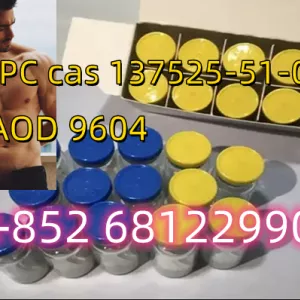 whatsapp/telegram+852 68122990 BPC-157