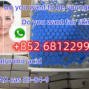 whatsapp/telegram+852 68122990 High quality, high purity, factory direct sales of hyaluronic acid Botulinum toxin
