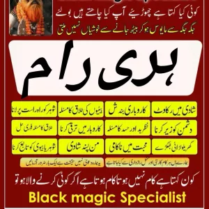 Amil Baba in Qatar asli amil Baba usa Kala jadu expert