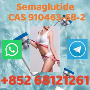 Hot sale,Semaglutide(CAS 910463-68-2), Factory Supply Quality Peptides Raw Powder, high-quality, fast delivery, >=99% purity Whatsapp: +852 68121261