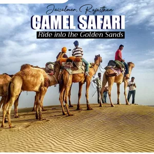 Book Your Camel Safari in Jaisalmer for a Desert Adventure