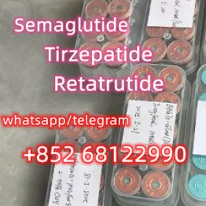 +852 68122990 Semaglutide CAS 910463-68-2 Weight loss peptide Tirzepatide CAS 2023788-19-2Slimming peptide