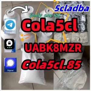 Telegram: cola5cl Signal: cola5cl.85(+85256619952)