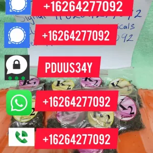 Buy liquid k2 spice paper | Buy K2 Infused Paper