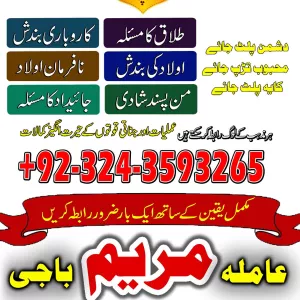 A2_AAmil baba in jermany _ astrologer AMIL BABA (astrologer)in pakistan baji maryam
